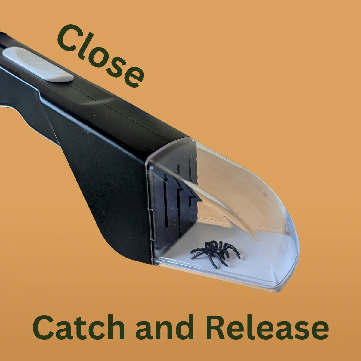Easy Bug Catcher Stick